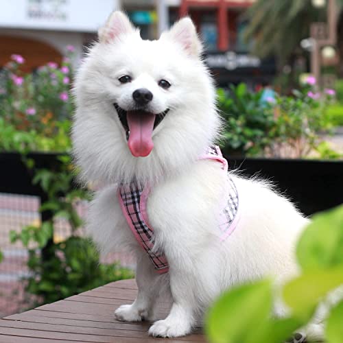 Suredoo Hundegeschirr Kleine Hunde mit Leine, Anti Zug Geschirr Reflektierend Atmungsaktiv Brustgeschirr, Welpengeschirr für Kleine Hunde (Rosa Kariert, S, Brust: 29-33cm)