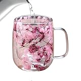 Tazas de café de doble pared – Vasos aislantes transparentes con asa y – tazas de café transparentes – para casa, escuela, fiesta, picnic, camping, exterior, jardín, parque, patio
