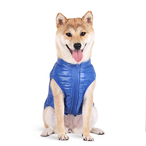 BT Bear Dog Winter Coat with D Ring,Super Light Small Dogs Warm Coat Zip Waterproof Pet Cat Warm Jacket Vest Apparel for Small Medium Dogs(XL,Dark blue)