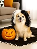 Swooflia Dog Cat Wig - Black White Cruella Curly Wavy Bob Pet Wigs for Small Large Medium Breed Dogs, Halloween Cosplay Costume Accessories for Weenie Dachshund Corgi Pug Chihuahua Puppy German