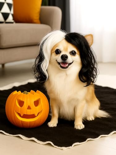 Swooflia  L EBbO - ubN zCg NG J[[ EF[r[ {u ybg EBbO ^  p nEB RXv RX`[ ANZT[ EBj[ _bNXth R[M[ pO ` q hCc