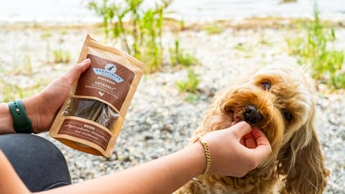 Lakefields Hundeleckerli | Trockenfleischstreifen vom Lamm | 150g | 90% Lammfleisch | Getreidefreie Hunde Snacks mit Kartoffeln & Waldbeeren | Knusprige Belohnung für Zwischendurch | Ohne Zusätze