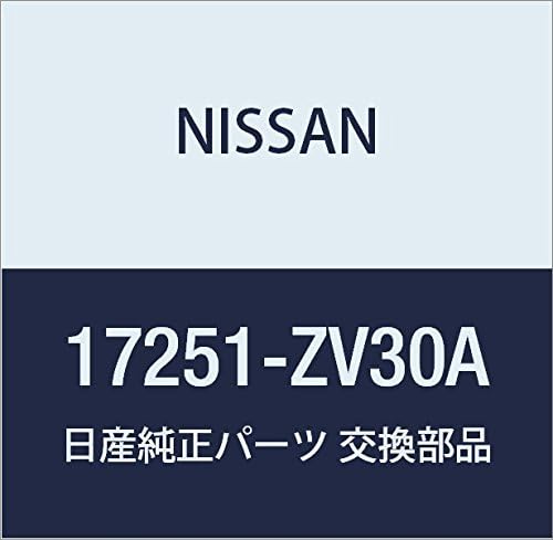 Piezas originales de Nissan - Conjunto de tapa - Relleno (17251-ZV30A)