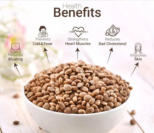 Image of RUSTIC BITES Natural Chironji Seed I Raw Charoli | Almondette Kernels | Almondette | Chironjii Dana | Crunchy Texture | Charoli| Seeds For Eating Kernels Seed | chironji seeds 100g