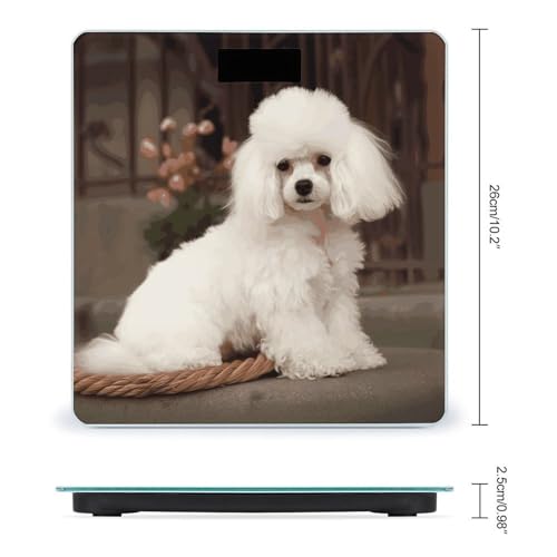 Báscula digital French Poodle de vidrio templado con pantalla LCD miniatura 2