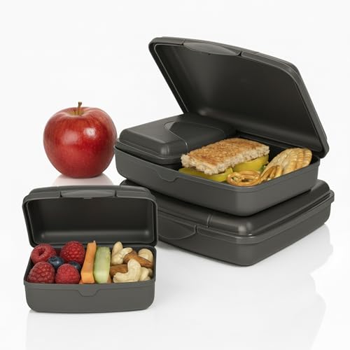 Hausfelder Brotdose Set Erwachsene – 4er Lunchbox Set anthrazit mit 2 großen (16x12x4 cm) & 2 kleinen (9,5x7x3,5 cm) Dosen, stapelbar, spülmaschinenfest, ideal für Schule, Büro & unterwegs