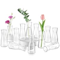Glasseam Kleine Glasvasen für Tischdeko, Klar Flower Vase Klein 12 Stück Blumenvasen Modern, Minimalistische Blumenvase Glas Vasen Set für Hochzeit Party Esstisch Tafelaufsatz Tischvase Deko