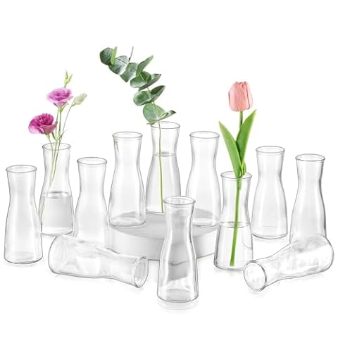 Glasseam Małe szklane wazon do dekoracji stołu, nowoczesne, minimalistyczne wazona, zestaw 12 sztuk