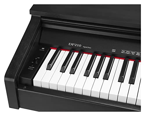 Classic Cantabile DP-210 SM Piano Numérique – 88 touches clavier mécanique à marteaux – E-Piano avec USB to host, 3… - Les Beatles, Paul McCartney, John Lennon, RIngo Starr, George Harrison Classic Cantabile DP-210 SM Piano Numérique - 88 touches clavier mécanique à marteaux - E-Piano avec USB to host, 3… – Image 7