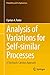 Produktbild Analysis of Variations for Self-similar Processes: A Stochastic Calculus Approach (Probability and Its Applications)
