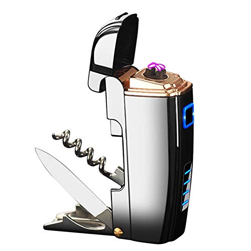 Pantheraa USB Encendedor de Cigarrillos 2 en 1 Plasma Recargable Resistente al Viento sin Llama eléctrico Arco Encendedor, Plata