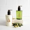 Thymes Hand Wash - Frasier Fir-8.25 Fl Oz