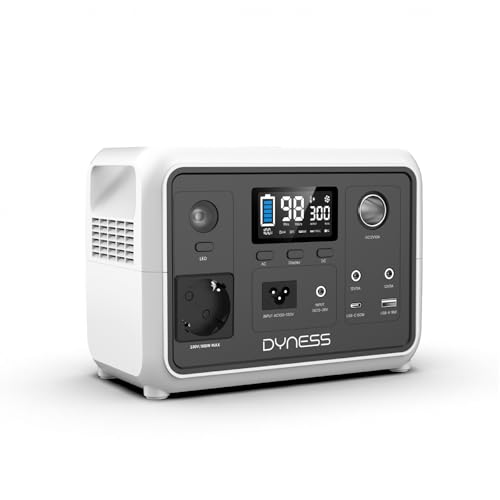 Dyness 300W Generateur Electrique Portable, Batterie LiFePO4 256Wh Générateur Solaire avec 6 Sorties et 4 Options de Charge, Alimentation de Secours pour Camping,...