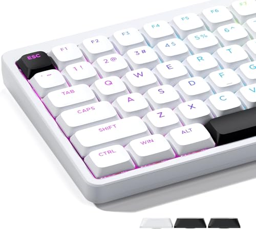 ロープロファイル キーキャップ、XVX 127 PBT キーキャップ フルセット、光抜け設計、 US 配列 MX 軸メカニカルキーボード対応 - ホワイト