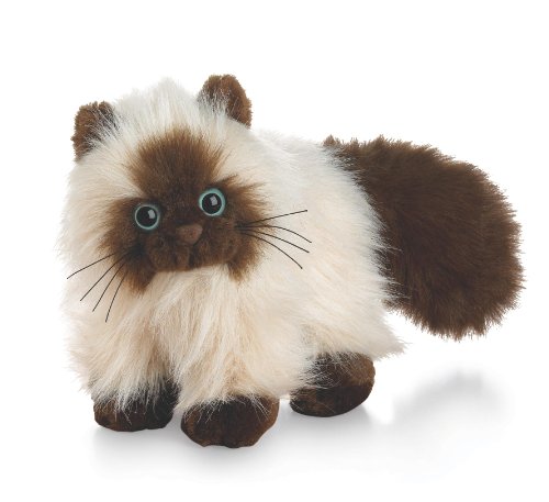 Webkinz Himalayan