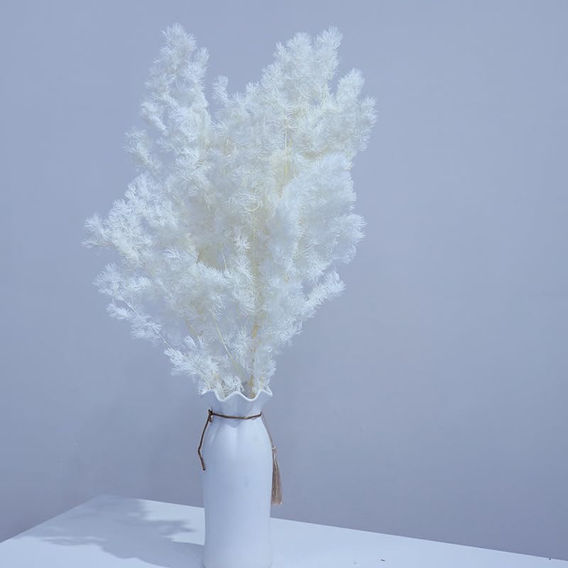 Preserved Ming Fern White Bleached Dried Ming Fern for Flower Arrangements in White