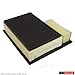 Motorcraft - FA1916 Air Filter