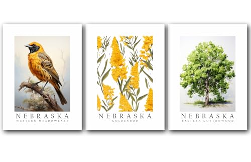 Nebraska Symbols, Western Meadowlark Bird, Goldenrod Flower, Eastern Cottonwood Tree, Set of 3 State Posters, Wall Art Décor, Multiple Sizes (5 x 7 Inches)