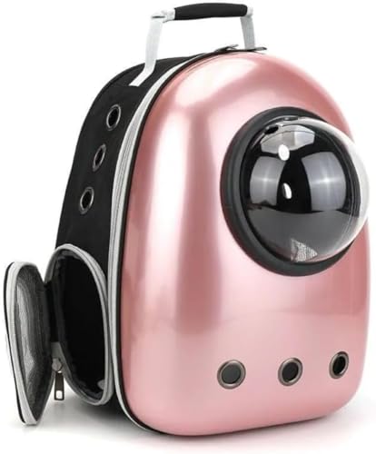 Ambety LL[obO LbN LL[ bN FD JvZ y ^p hCu LsO s ω׏d6.5Kg (B)
