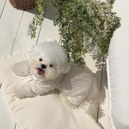 Ropa ligera transpirable para perro y gato talla XS blanca miniatura 6