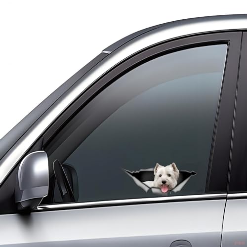 Autoaufkleber West Highland White Terrier Aufkleber 15cm(5.9 Inch) West Highland White Terrier 3D Zerrissen Reflektierende Aufkleber Haustier Hund Lustig Aufkleber Personalisiert Lustig Dekor