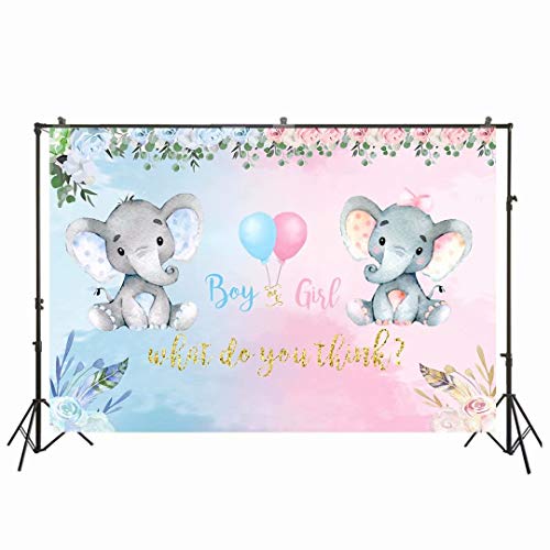 220 x 150 cm elefante genere rivela partito