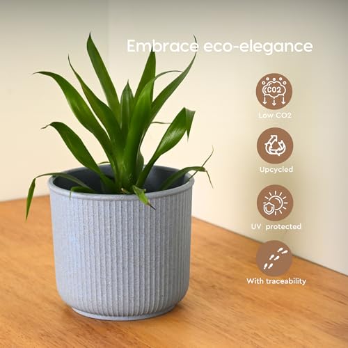 Image of Eha Earth Friendly Statement Pot 4 Inch Pots and Planters Set of 1 | Table Top Planters| Bamboo Based, UV Protected | Planter for Indoor & Balcony Window Flower Pots | Azure