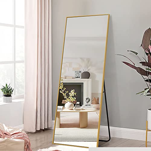 NeuType Full Length Mirror, 64'x21' Body Mirror...