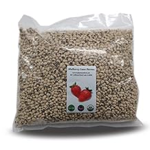 Black-eyed Peas, 5 Pounds Beans, Dried, USDA Certified Organic, Non-GMO Bulk, Product of USA, Mulberry Lane Farms