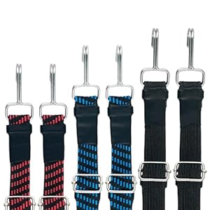 Arc Rack Flache Bungee-Seile, 50,8/101,6/203,2 cm, 6er-Pack