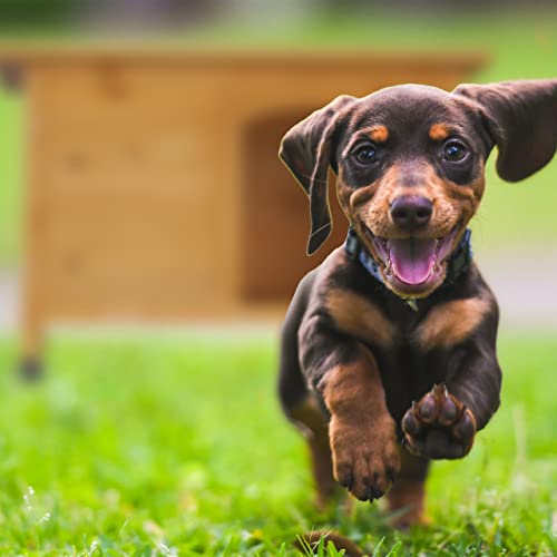 Relaxdays Hundehütte, HxBxT: 58 x 86 x 58 cm, wetterfestes Hundehaus, Holz, Dachpappe, Hundevilla Outdoor, Natur/schwarz