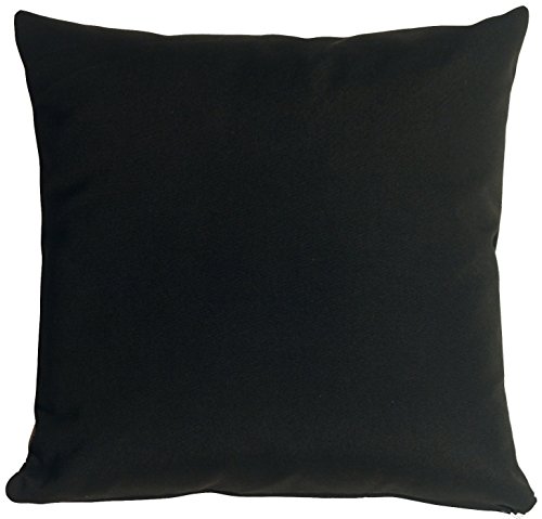 PILLOW DÉCOR Sunbrella Black 20x20 Outdoor Pillow
