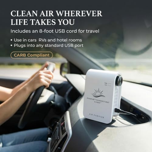 Image of EdenPURE Thunderstorm Sunray Air Purifier Plug In Ionizer Plasma Remover