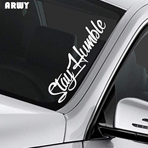 Car Front Glass Sticker, Car Front Rear Window Windshield Decal Sticker Cover Styling Decoration