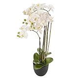 AMARE Phalenopsis im Resintopf, 83 cm, weiß