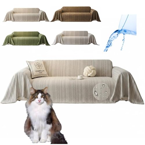 Lifetips mEF[WtHXgLbg \t@[Jo[ k  􂦂 h }`Jo[ 2l| 3l| It IȂ ~ Eh~ LΉ lGʗp iO[j i130180CMj