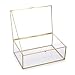 Hipiwe Vintage Glass Keepsake Box - Rectangle Jewelry Display Organizer, Vanity Lidded Home Decor Accent for Storage Trinket Rings Bracelet Rock - X-Large