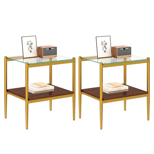 Set of 2 Glass End Table, 2-Layer Glass Living Room