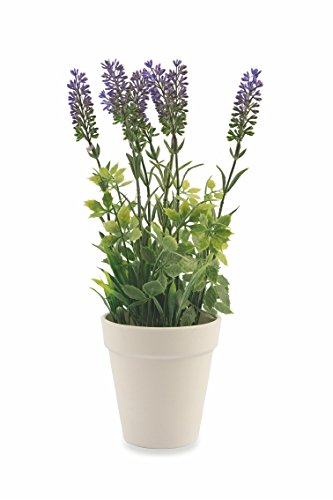 Hydrometer Case Le Meilleur Prix Dans Amazon Savemoney Es