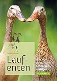 Laufenten: Alles über die quirligen Schneckenfresser