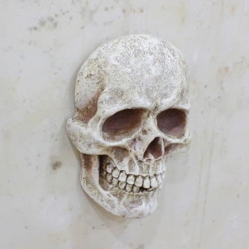 Calavera Halloween de resina duradera que no se rompe en el porche o jardín 3