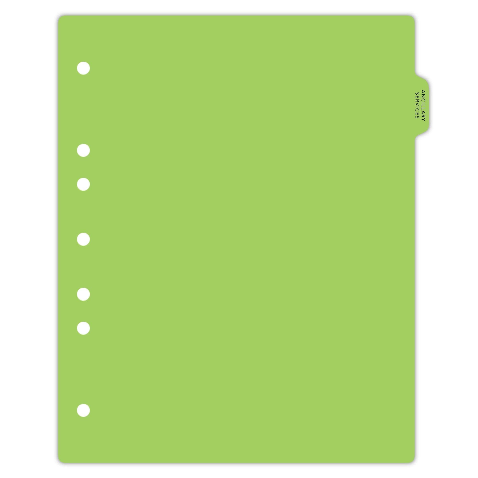 Carstens - Heavy Duty Ancillary Services Plastic Ring Binder Dividers, Side Tab, 1/9 Cut, Tab 2 Position, US Letter, Pack of 10, (2616-41) - Ideal Medical Chart Dividers for 3 Ring Binders