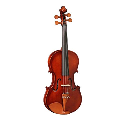 Violino Hofma Hve241 4/4 Com Case, Breu E Arco