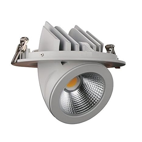Mufasa 30W LED Zoom Light/Spot Light/Focus Light (Ceiling Mount) (White)