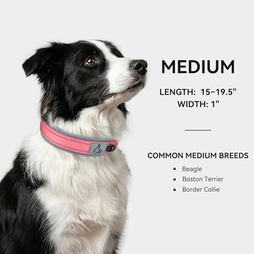 Image of Joytale Dog Collar for Medium Dogs, Neoprene Padded and Adjustable, Reflective Wide Heavy Duty Pet Collars with Durable Metal Belt Buckle for Walking, Pink, M