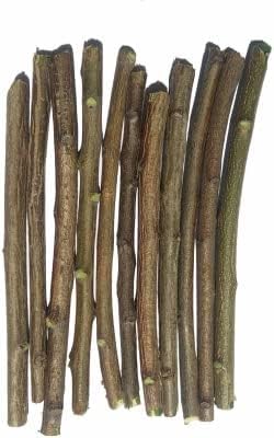 Neem Datun Toothbrush Twigs, Organic Pack of 15 Sticks image 3