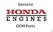 Honda 16952-ZA8-800 Filter Fuel