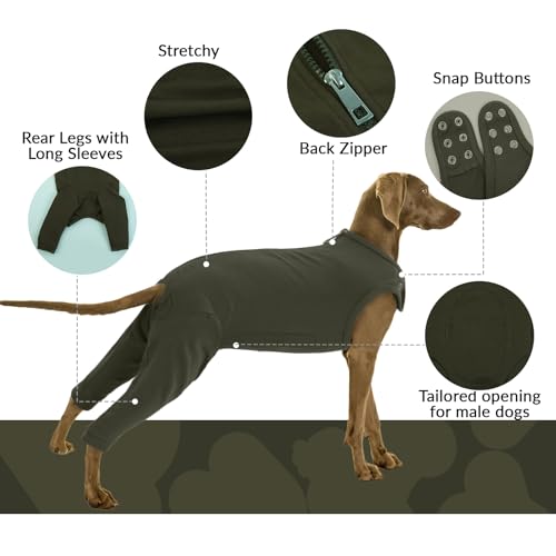 Body für Hunde Nach Op, Leckschutz Body Nach Op Hündin Beinschutz Hunde Hinterbeine Hinterbeinschützer Hund Liegeschwielen Schutz Recovery Suit Hundebody mit Reißverschluss Hinten(Moosgrün, L)