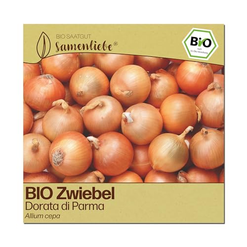 Samenliebe BIO Zwiebel Samen | italienische Dorata di Parma - gelb - samenfestes BIO Saatgut