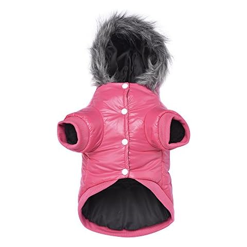 lesypet Dog Coats for Small Dogs Cover